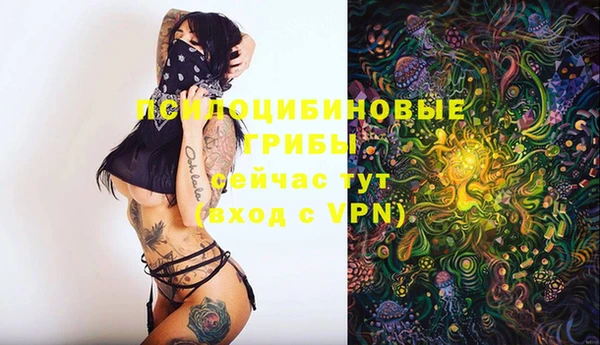мяу мяу мука Абдулино