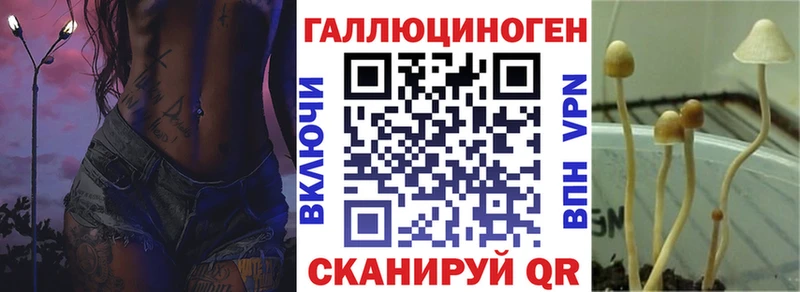 ОМГ ОМГ ONION  Кизилюрт  Галлюциногенные грибы мицелий  наркошоп 